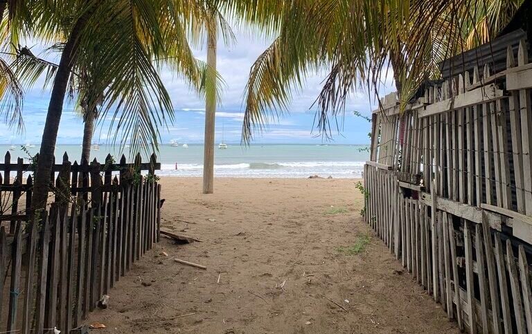 palm trees and street to beach
